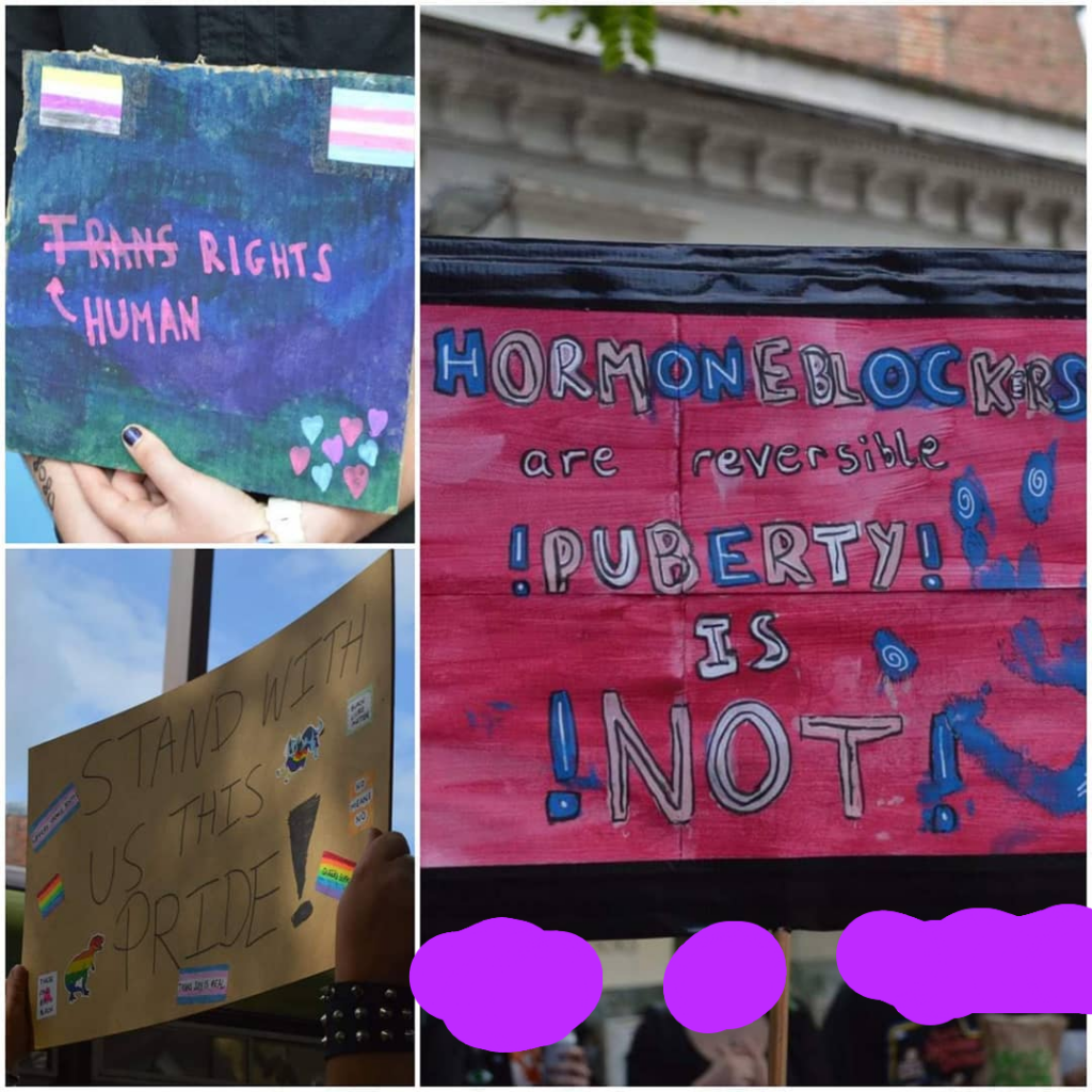 A selection of hand made protest signs. One says "hormone blockers are reversible - Puberty is Not! another says "stand with us this pride" and another says "trans rights" but the trans is crossed out and replaced with "human"