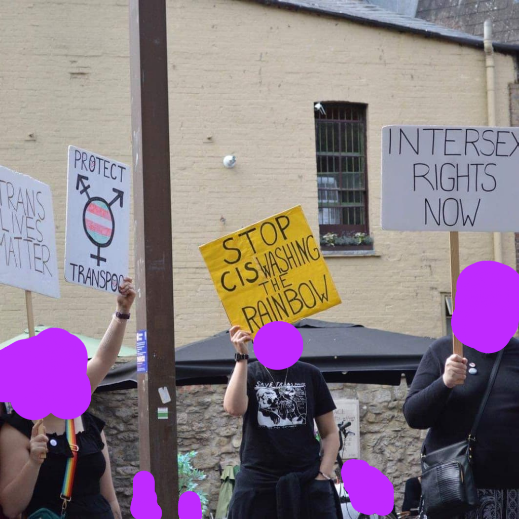 A group of people holding up signs saying " trans lives matter", "protect transpoc", "stop cis washing the rainbow" and "intersex rights now"