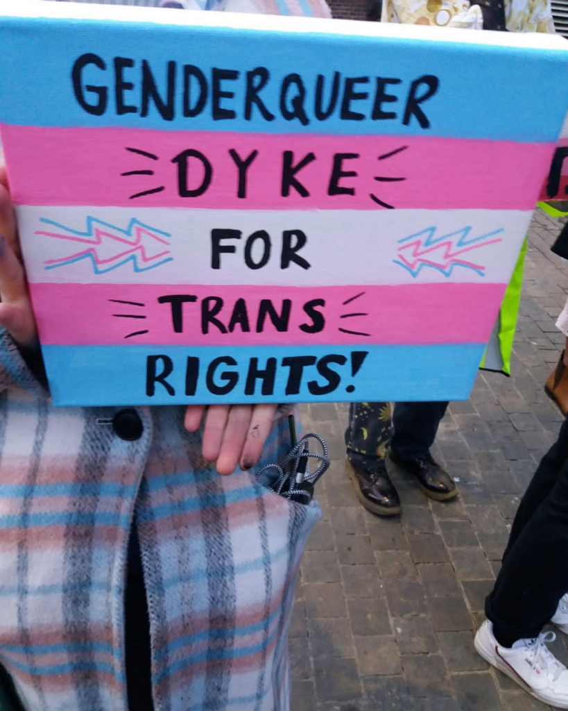 Sign with a trans flag on with "Genderquer dyke for trans rights!" written on it