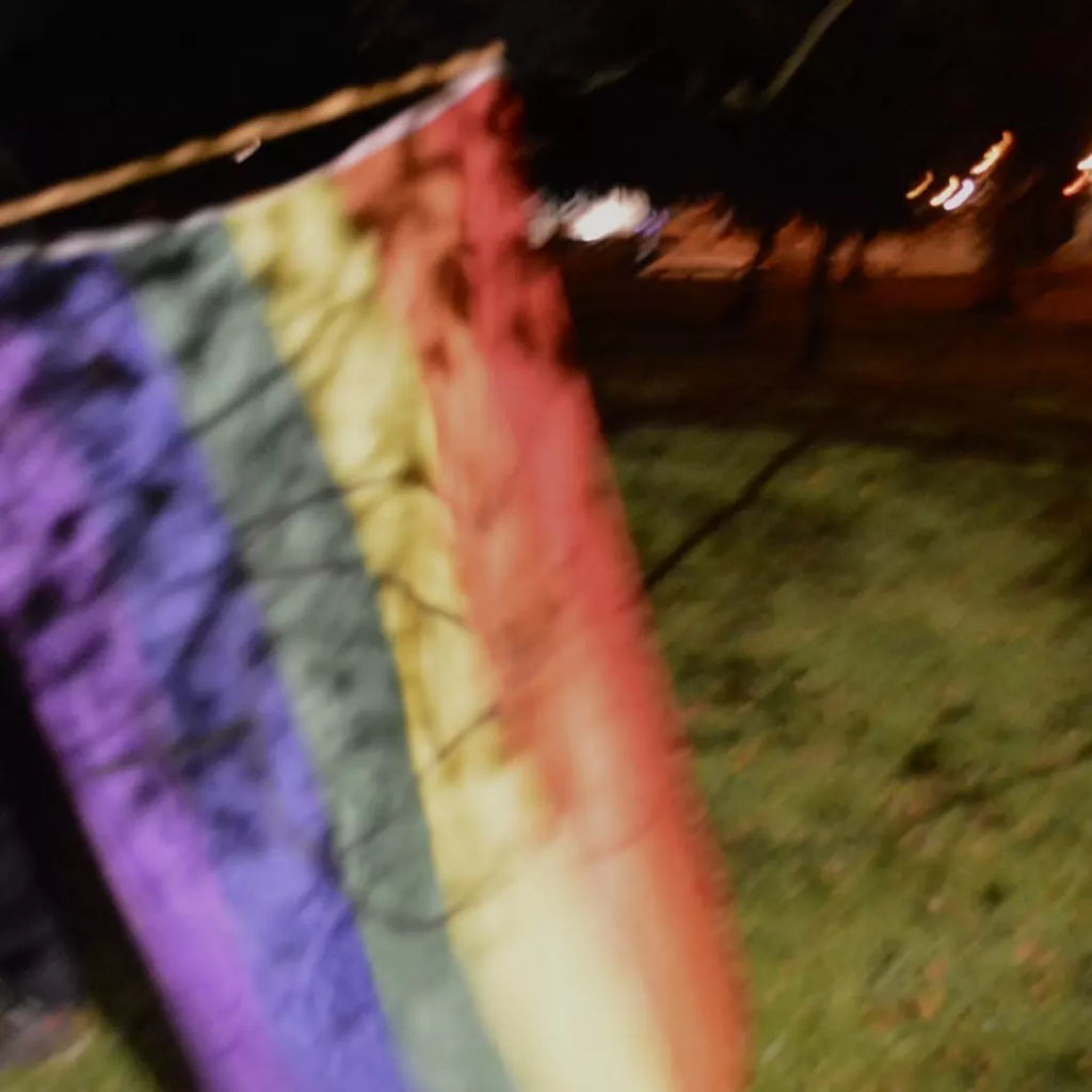 Blurred photo of a gay pride flag with the tranarchy symbol on it, trees in the background.