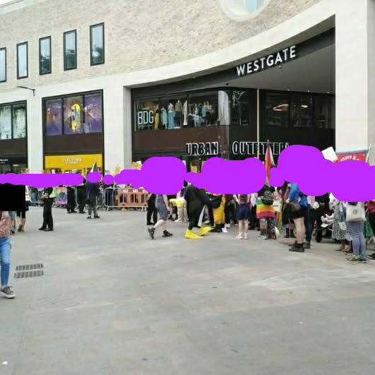 A group of people in front of a shopping centre in the street holding signs and queer flags