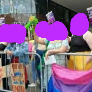 A group of people behind a crowd barrier with a bisexual flag and signs
