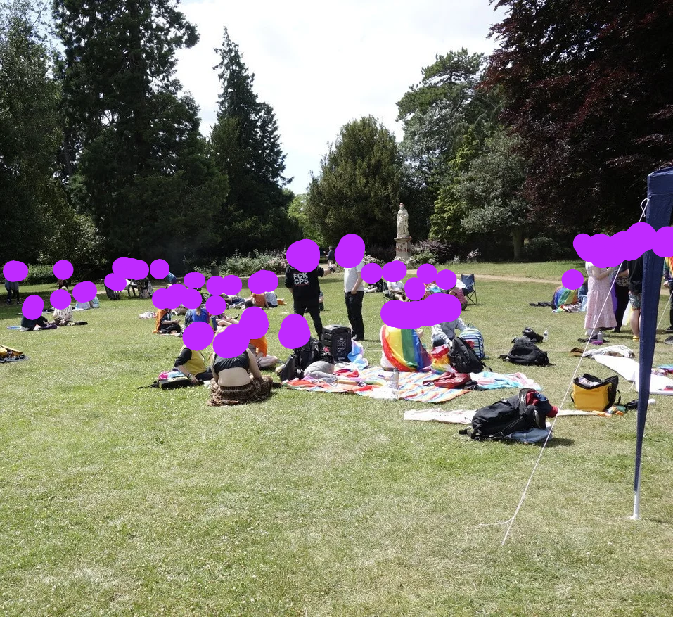 Lots of people spread out sitting on a grass park at a picnic, some with rainbow flags